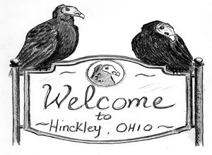what voting district am i in hinckley township ohio